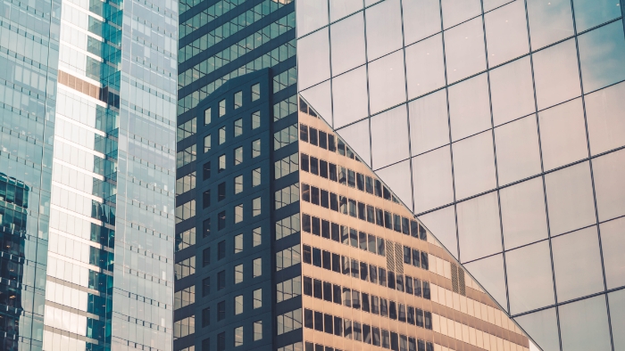 What our WIN members say